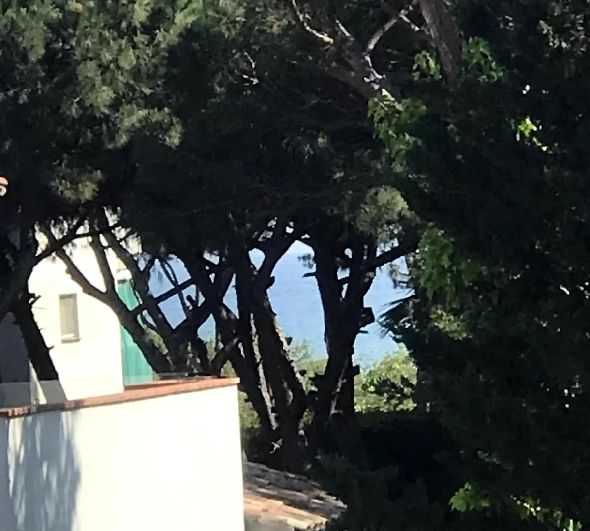 Beach Apartment 2 Terraces With Parking Castelldefels